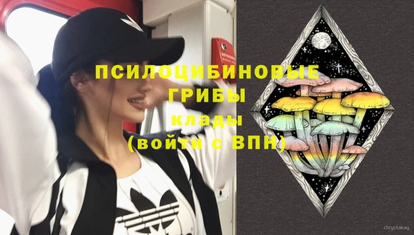ALPHA-PVP Новозыбков